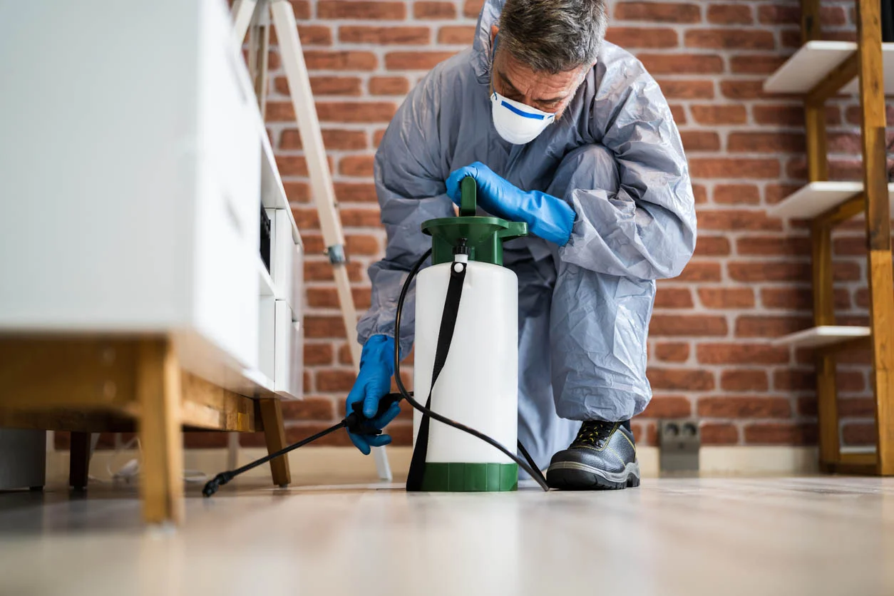 Are Pest Control Companies Licensed?