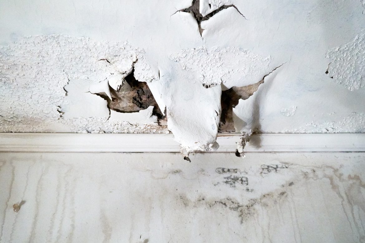 Top Signs Your Water Damage Has Turned Into a Mold Problem