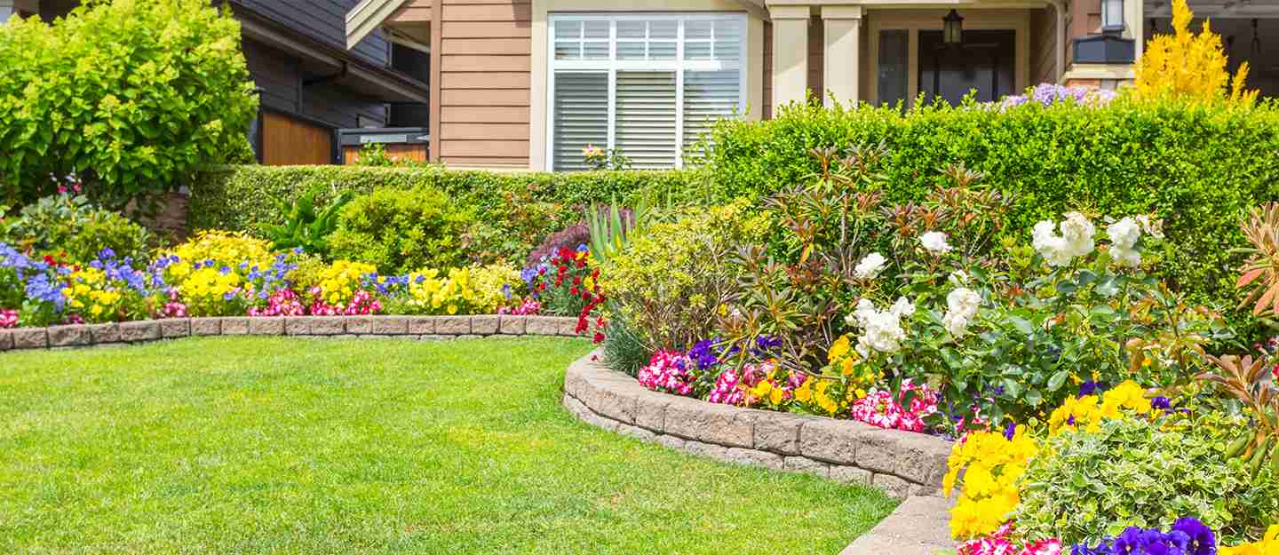 The Benefits of Hiring Professional Abilene Landscaping