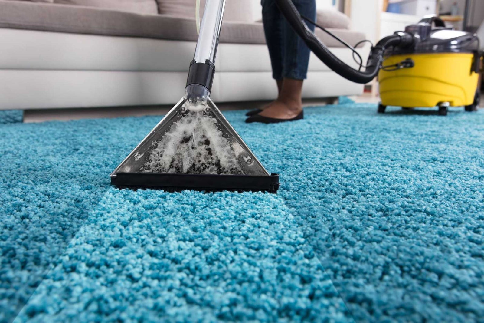 Professional Carpet: Quality Service in Wollongong