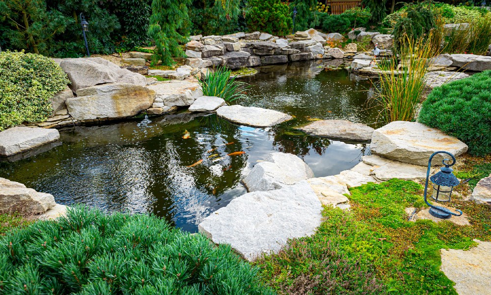 How to Choose the Right Pump for Your Garden Pond or Water Feature